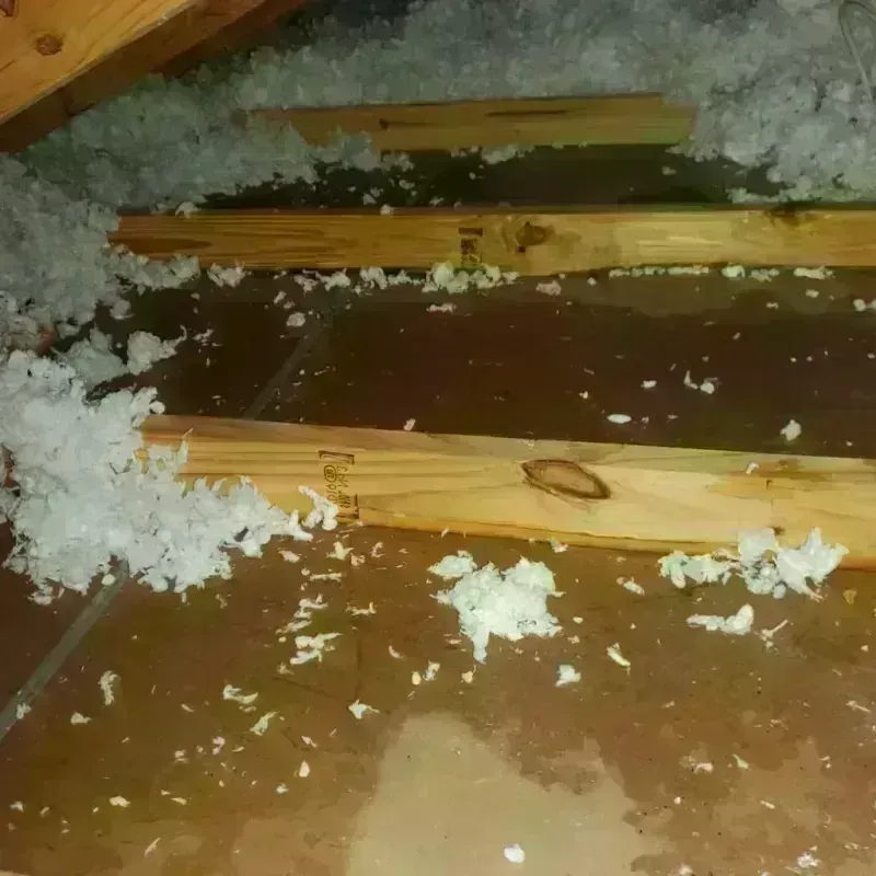 Attic Water Damage in Epsom, NH